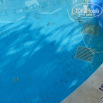 фото из отзыва ID 2236573