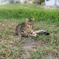 фото из отзыва ID 2235672