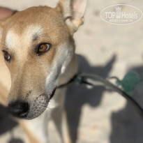 фото из отзыва ID 2235672