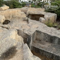 фото из отзыва ID 2236626