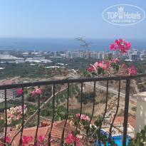 фото из отзыва ID 2236707