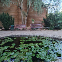 фото из отзыва ID 2236665