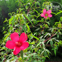 фото из отзыва ID 2236665