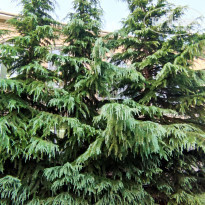 фото из отзыва ID 2236665