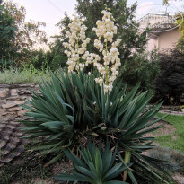 фото из отзыва ID 2236665