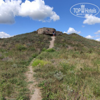 фото из отзыва ID 2236665