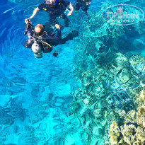 фото из отзыва ID 2236899