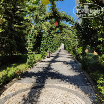 фото из отзыва ID 2236870