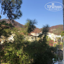 фото из отзыва ID 2236999