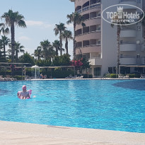 фото из отзыва ID 2237017