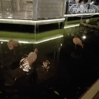 фото из отзыва ID 2237070