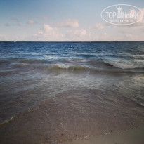 фото из отзыва ID 2237070