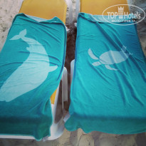 фото из отзыва ID 2237070