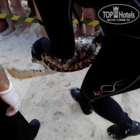 фото из отзыва ID 2237070