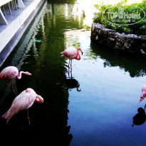 фото из отзыва ID 2237070