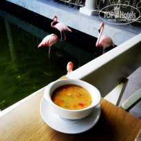 фото из отзыва ID 2237070