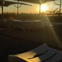 фото из отзыва ID 2236995