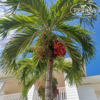 фото из отзыва ID 2237132