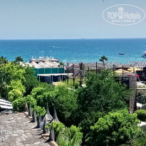 фото из отзыва ID 2237181