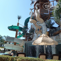 фото из отзыва ID 2237270