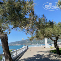 фото из отзыва ID 2237325