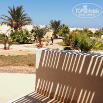 фото из отзыва ID 2237429