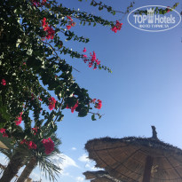 фото из отзыва ID 2237461