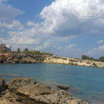 фото из отзыва ID 2237479