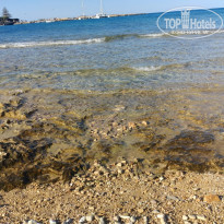 фото из отзыва ID 2237479