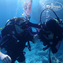 фото из отзыва ID 2237492