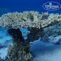 фото из отзыва ID 2237492