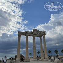 фото из отзыва ID 2237515