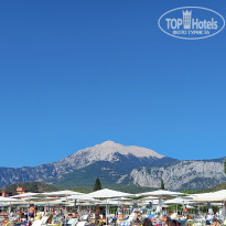 фото из отзыва ID 2237540