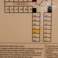 фото из отзыва ID 2237540