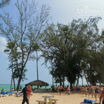 фото из отзыва ID 2237636