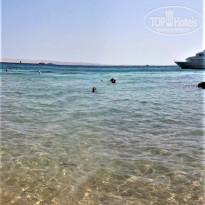 фото из отзыва ID 2237755