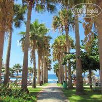 фото из отзыва ID 2237817