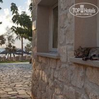 фото из отзыва ID 2237817