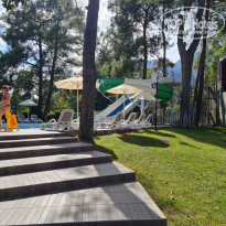 фото из отзыва ID 2237904