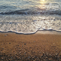 фото из отзыва ID 2237904