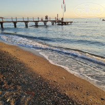 фото из отзыва ID 2237904