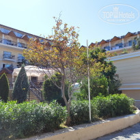 фото из отзыва ID 2238001