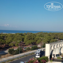 фото из отзыва ID 2238022