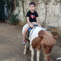 фото из отзыва ID 2238000