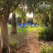 фото из отзыва ID 2238109