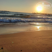 фото из отзыва ID 2238104