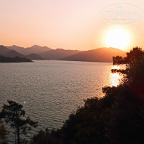 фото из отзыва ID 2238221