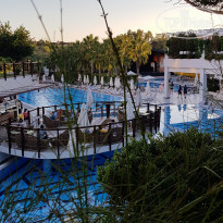 фото из отзыва ID 2238245