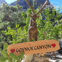 фото из отзыва ID 2238415