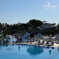 фото из отзыва ID 2238406